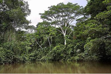 2D格斗游戏《Blazing Strike》延期至秋季发售